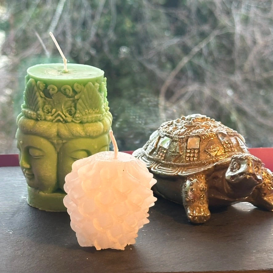 Handgefertigtes Kerzen Set Schildkröte 🐢🪩