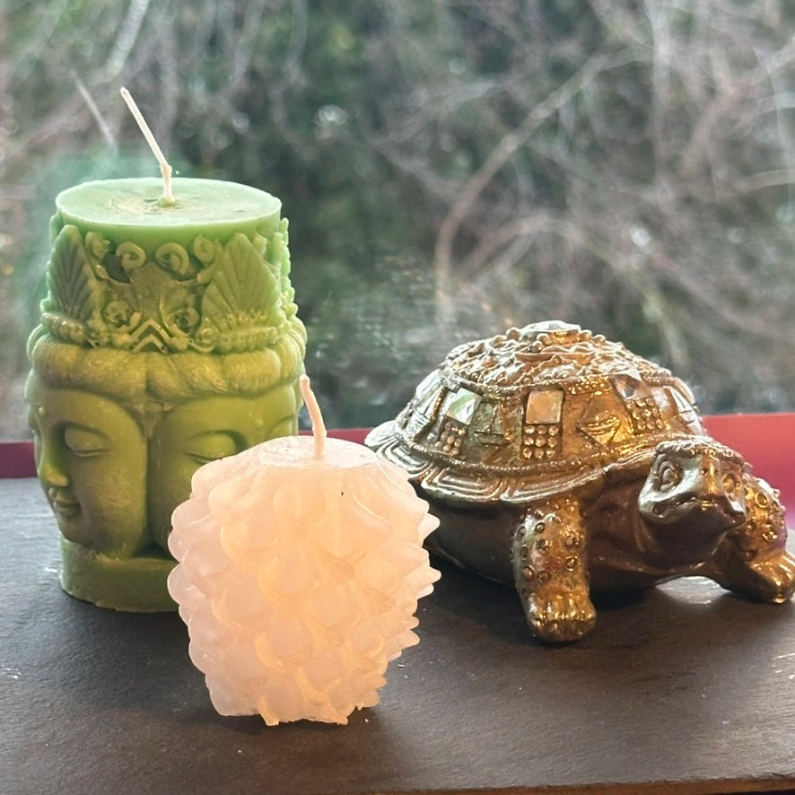 Handgefertigtes Kerzen Set Schildkröte 🐢🪩